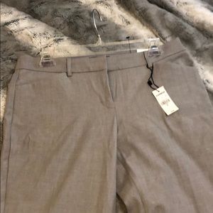 Editor straight boot slack pants